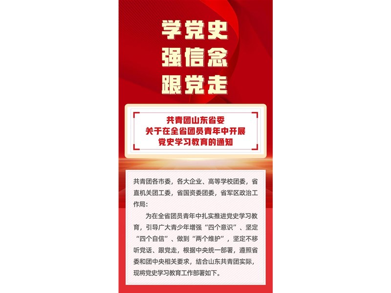 关于在全省团员青年中开展党史学习教育的通知